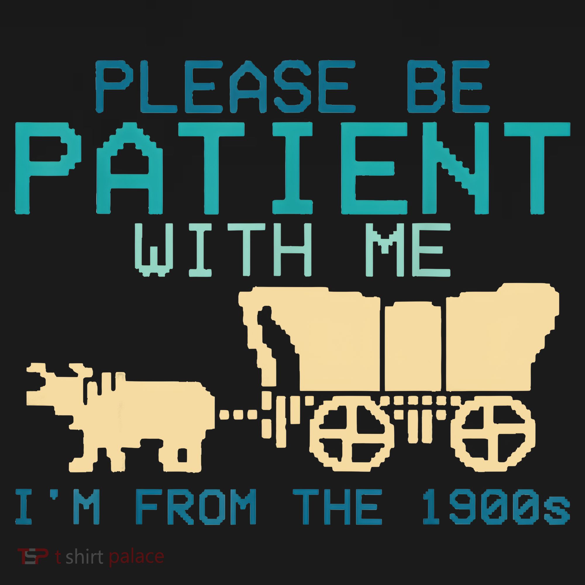 Funny Please Be Patient With Me IM From The 1900s Women's T-Shirt