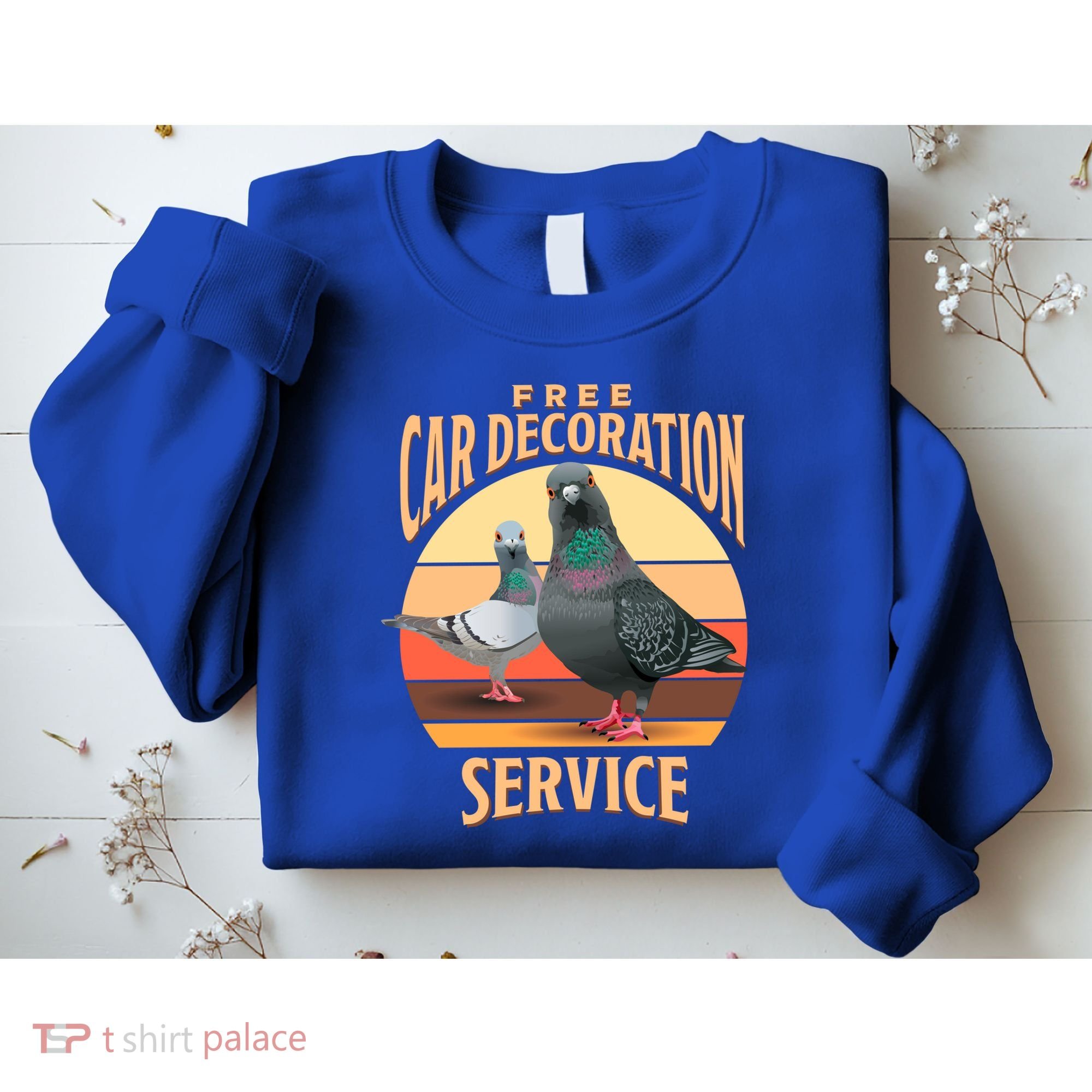 Funny Pigeon Car Decoration Service Sweatshirt