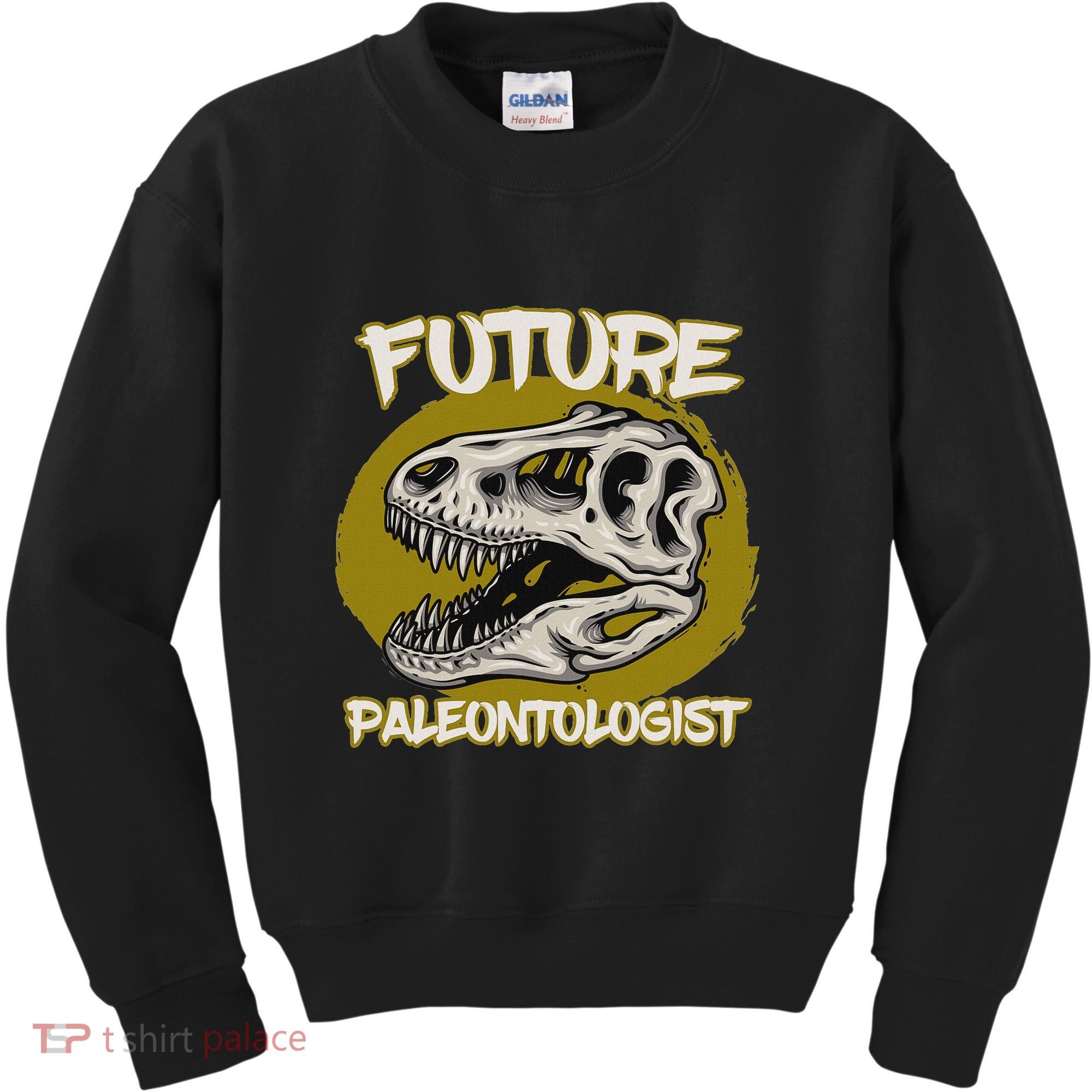 Future Paleontologist Cute Gifts For Dino Explorer Kids Sweatshirt