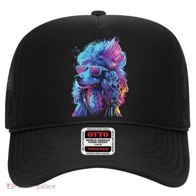 Funny Poodle Colorful Poodle Wearing Sunglasses Hat