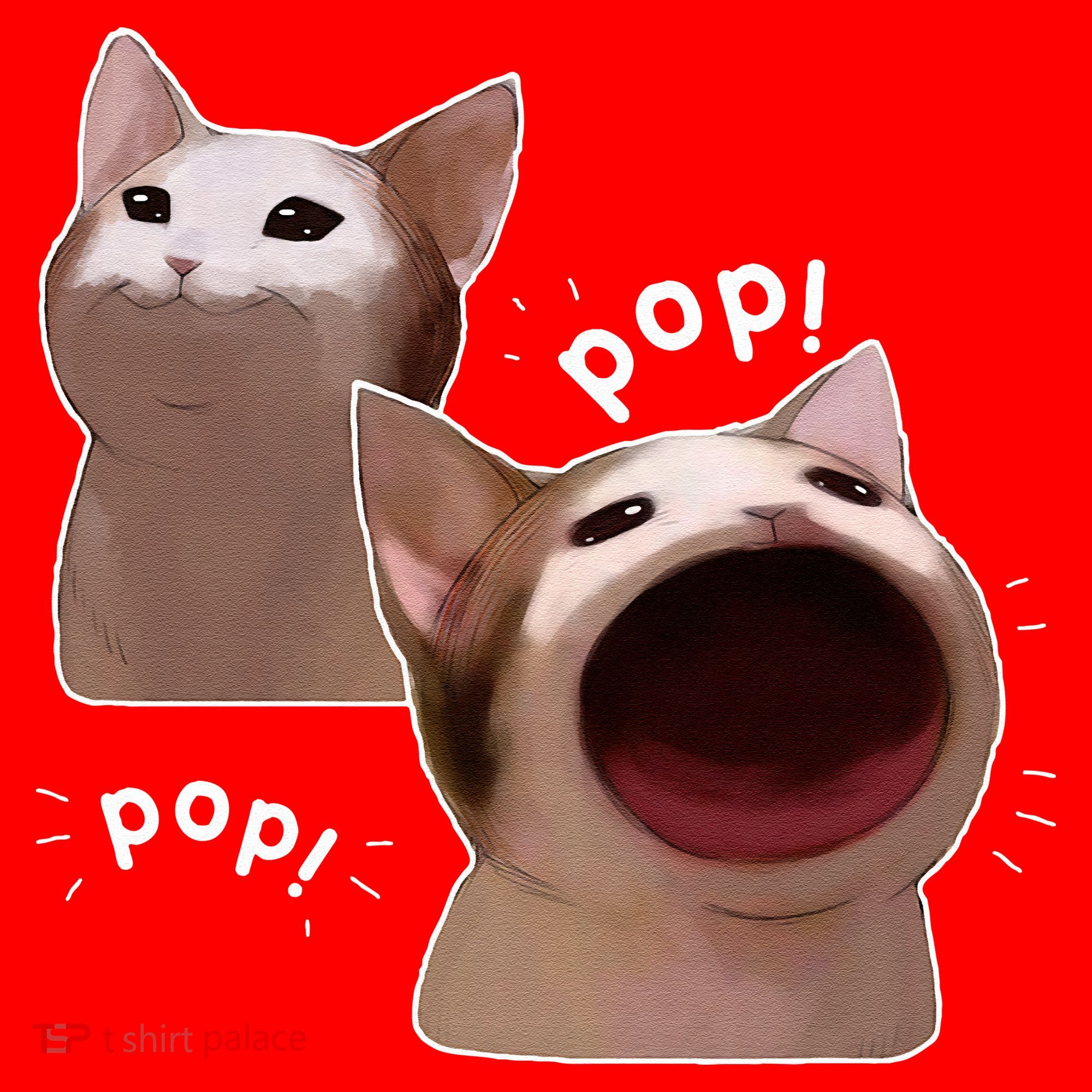 Funny Pop Cat Meme Santa Hat