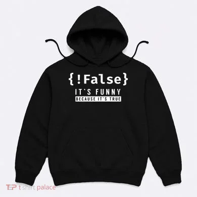 False Programmer Coding Code Coder Software Hoodie
