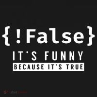 False Programmer Coding Code Coder Software Hoodie thumb 2