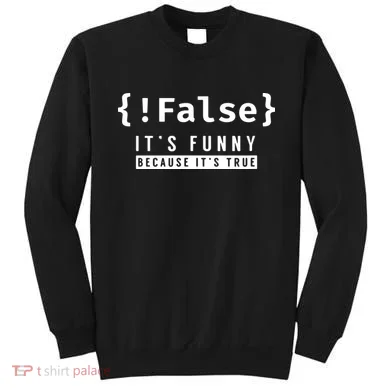 False Programmer Coding Code Coder Software Sweatshirt