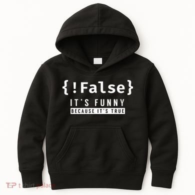 False Programmer Coding Code Coder Software Kids Hoodie