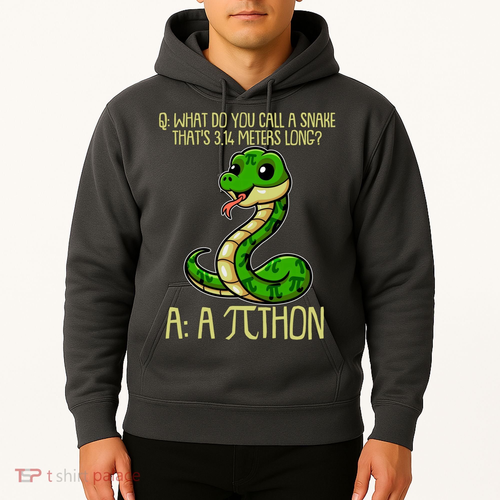 Funny Pi Day 314 PiThon Python Snake Joke Hoodie