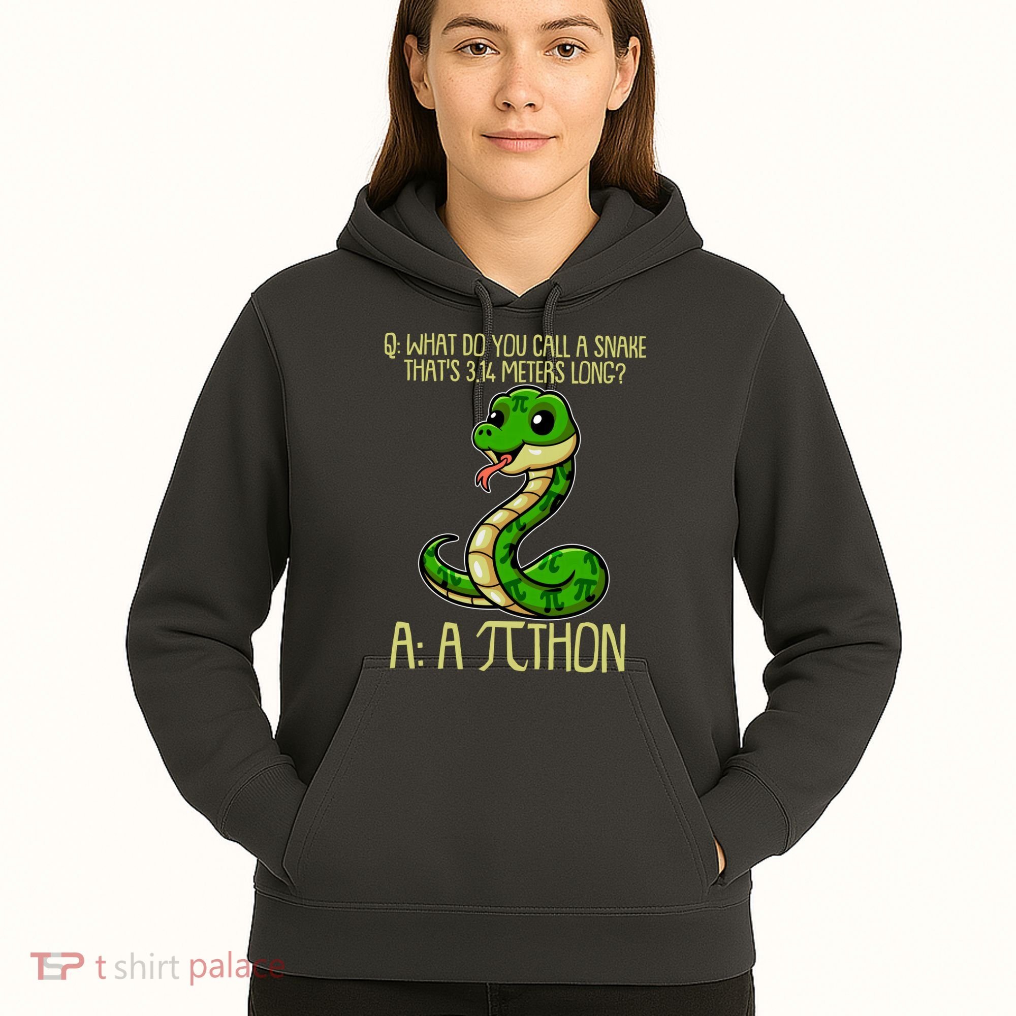Funny Pi Day 314 PiThon Python Snake Joke Hoodie