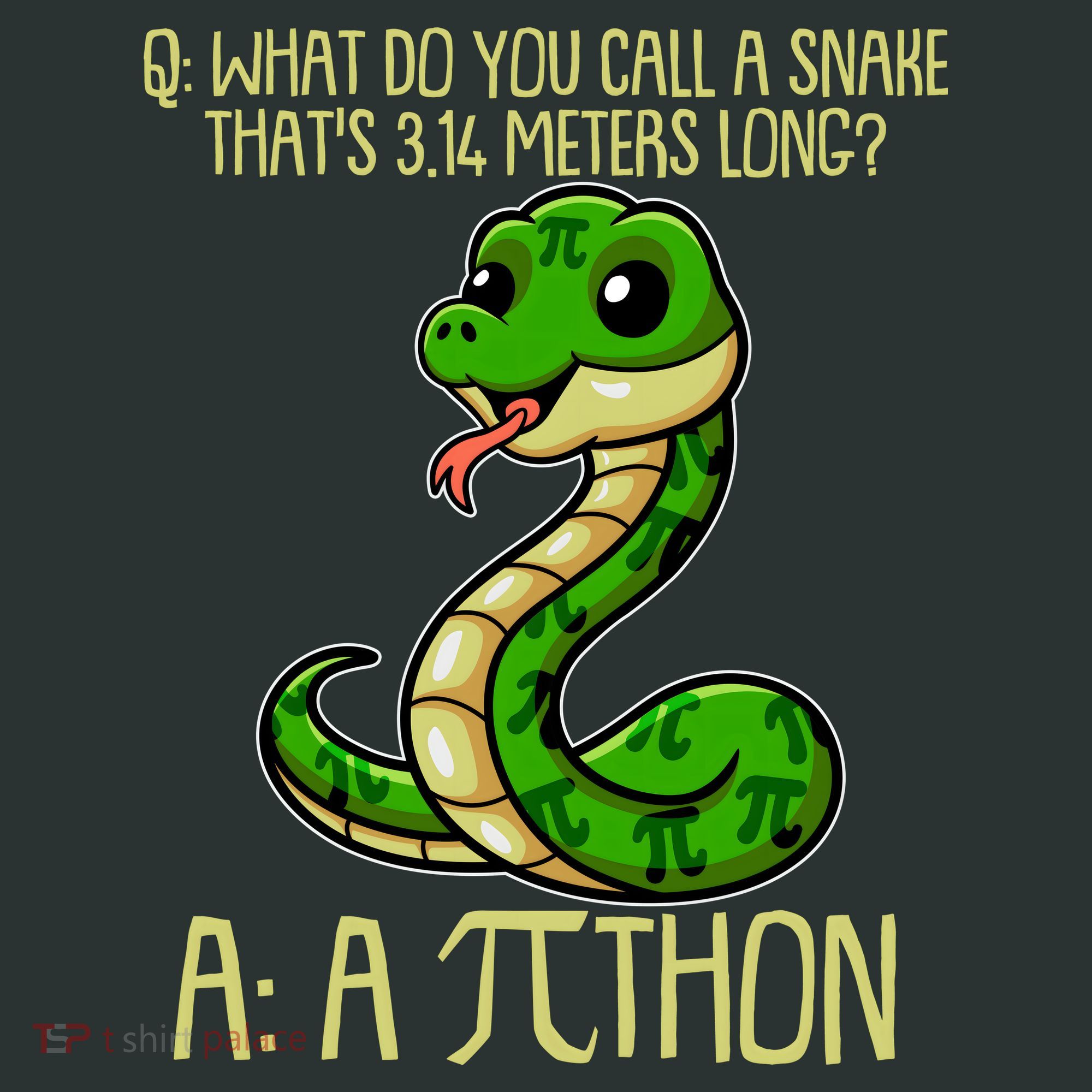 Funny Pi Day 314 PiThon Python Snake Joke Women's T-Shirt