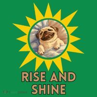 Funny Pug Dog Rise And Shine Women's T-Shirt thumb 6