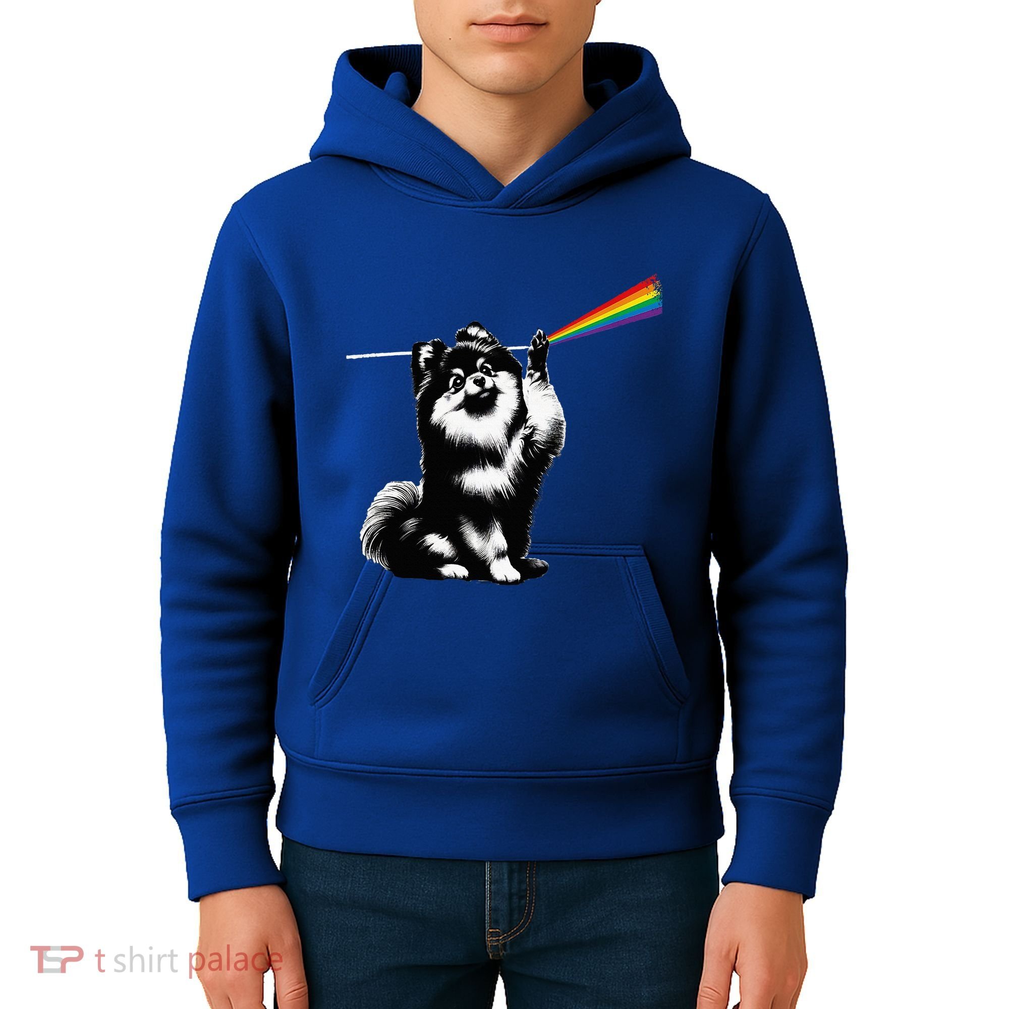Funny Pomeranian Dog Rock Music Rainbow Fun Dark Side Moon Kids Hoodie