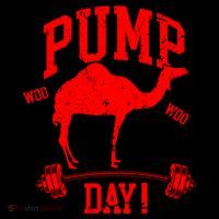 Funny Pump Day Hump Day Camel Weight Lifting Training Gym Gift Women's Hoodie thumb 2
