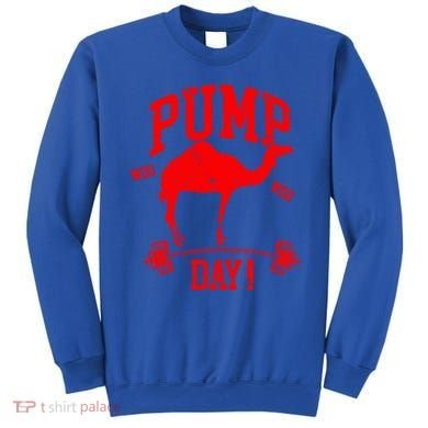 Funny Pump Day Hump Day Camel Weight Lifting Training Gym Gift Sweatshirt