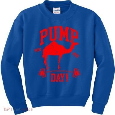 Funny Pump Day Hump Day Camel Weight Lifting Training Gym Gift Kids Sweatshirt