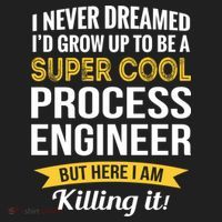 Funny Process Engineer Appreciation Funny Gift Beanie thumb 2
