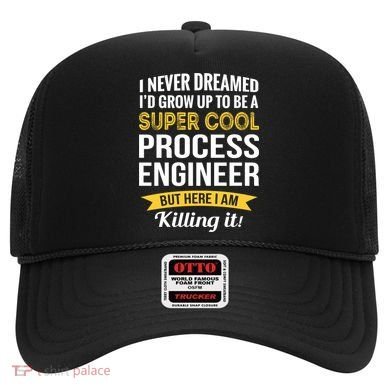 Funny Process Engineer Appreciation Funny Gift Hat