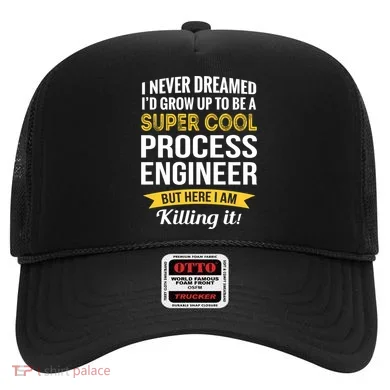 Funny Process Engineer Appreciation Funny Gift Hat