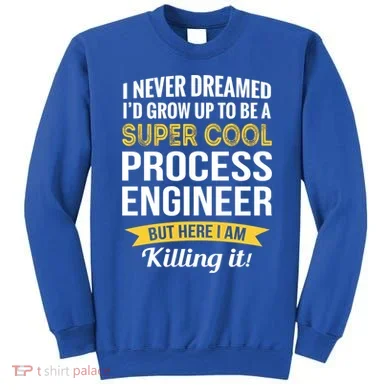 Funny Process Engineer Appreciation Funny Gift Sweatshirt