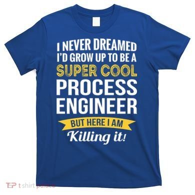 Funny Process Engineer Appreciation Funny Gift T-Shirt