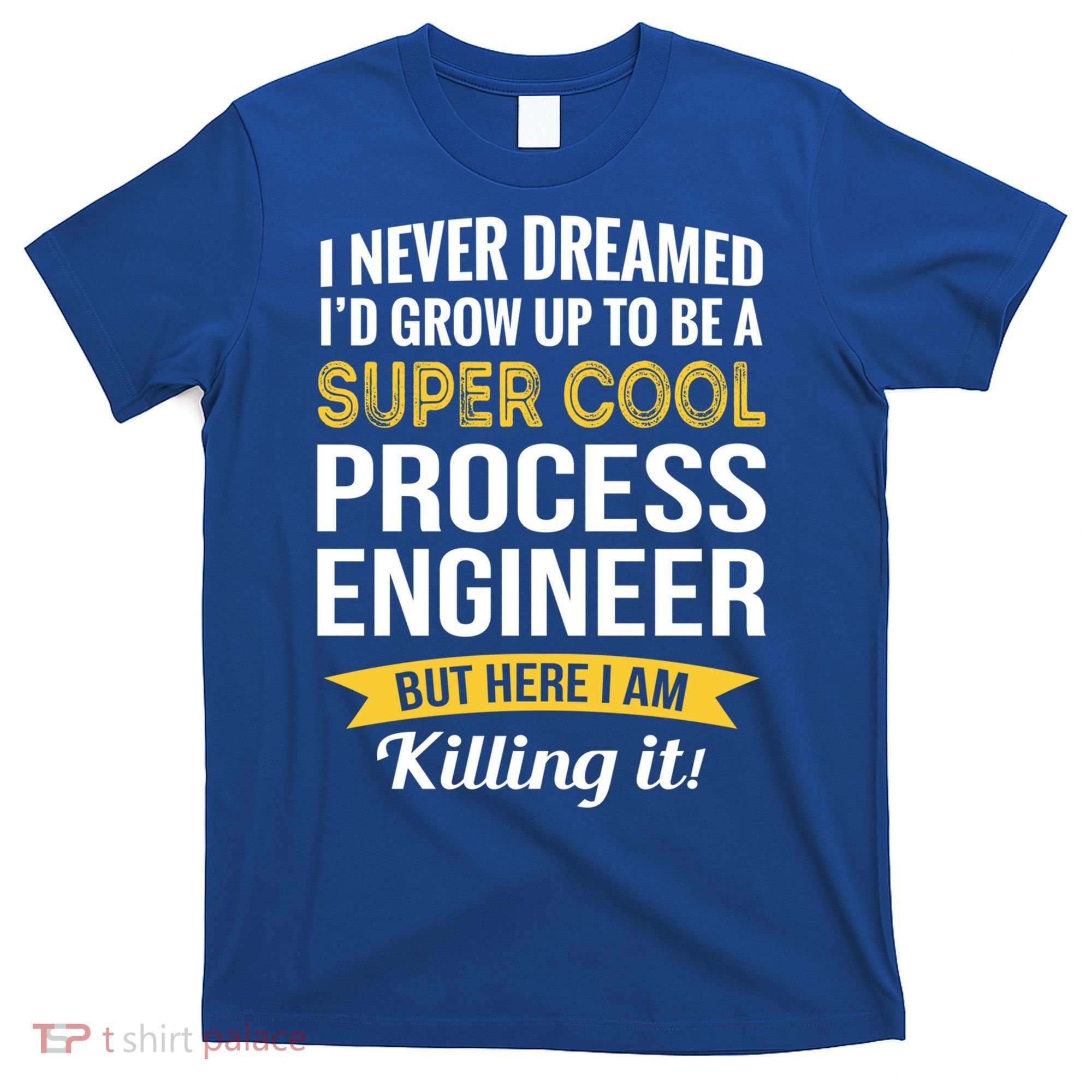 Funny Process Engineer Appreciation Funny Gift T-Shirt