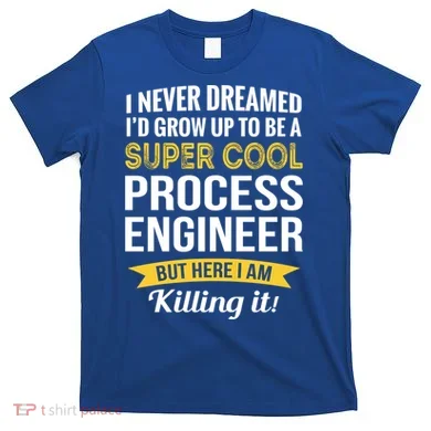 Funny Process Engineer Appreciation Funny Gift T-Shirt