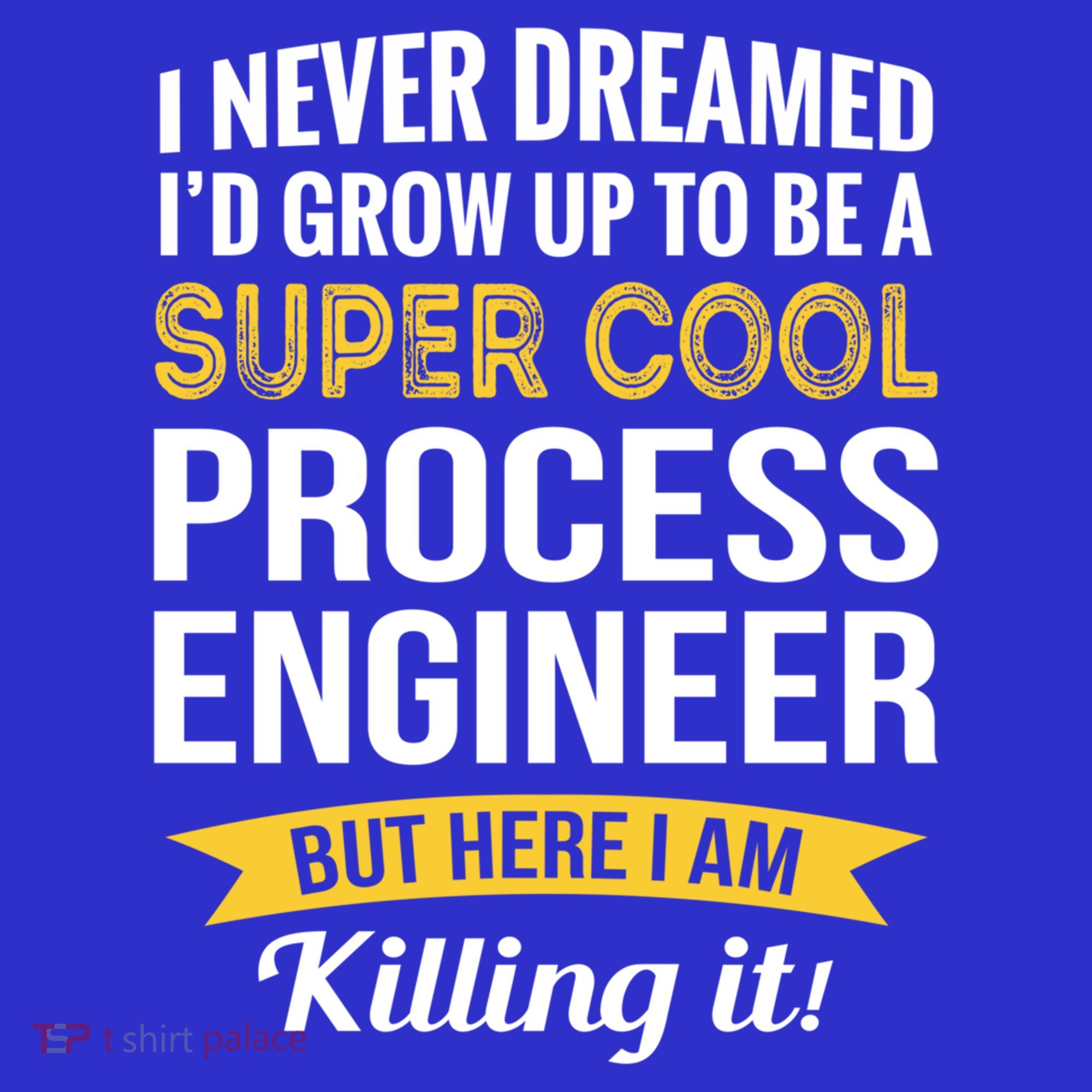 Funny Process Engineer Appreciation Funny Gift Kids Hoodie