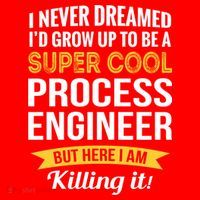 Funny Process Engineer Appreciation Funny Gift Santa Hat thumb 1