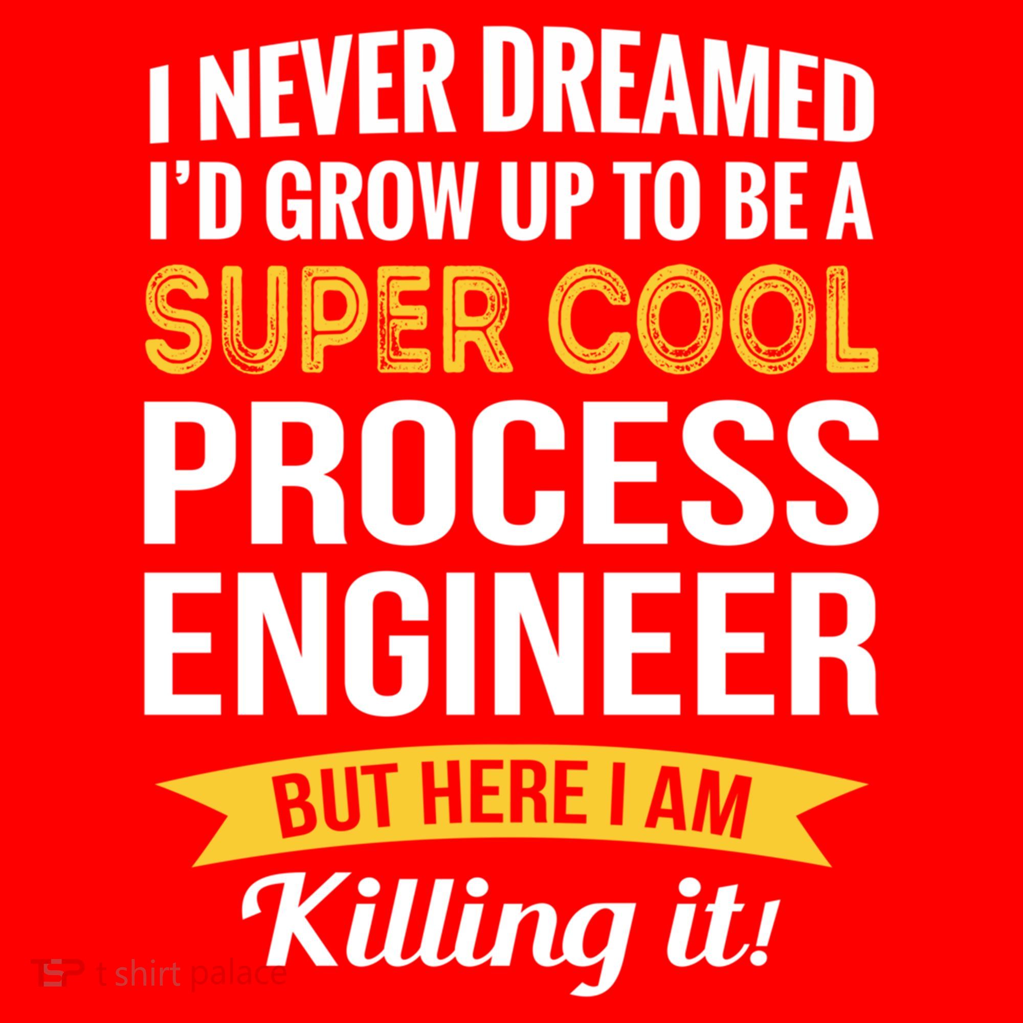 Funny Process Engineer Appreciation Funny Gift Santa Hat