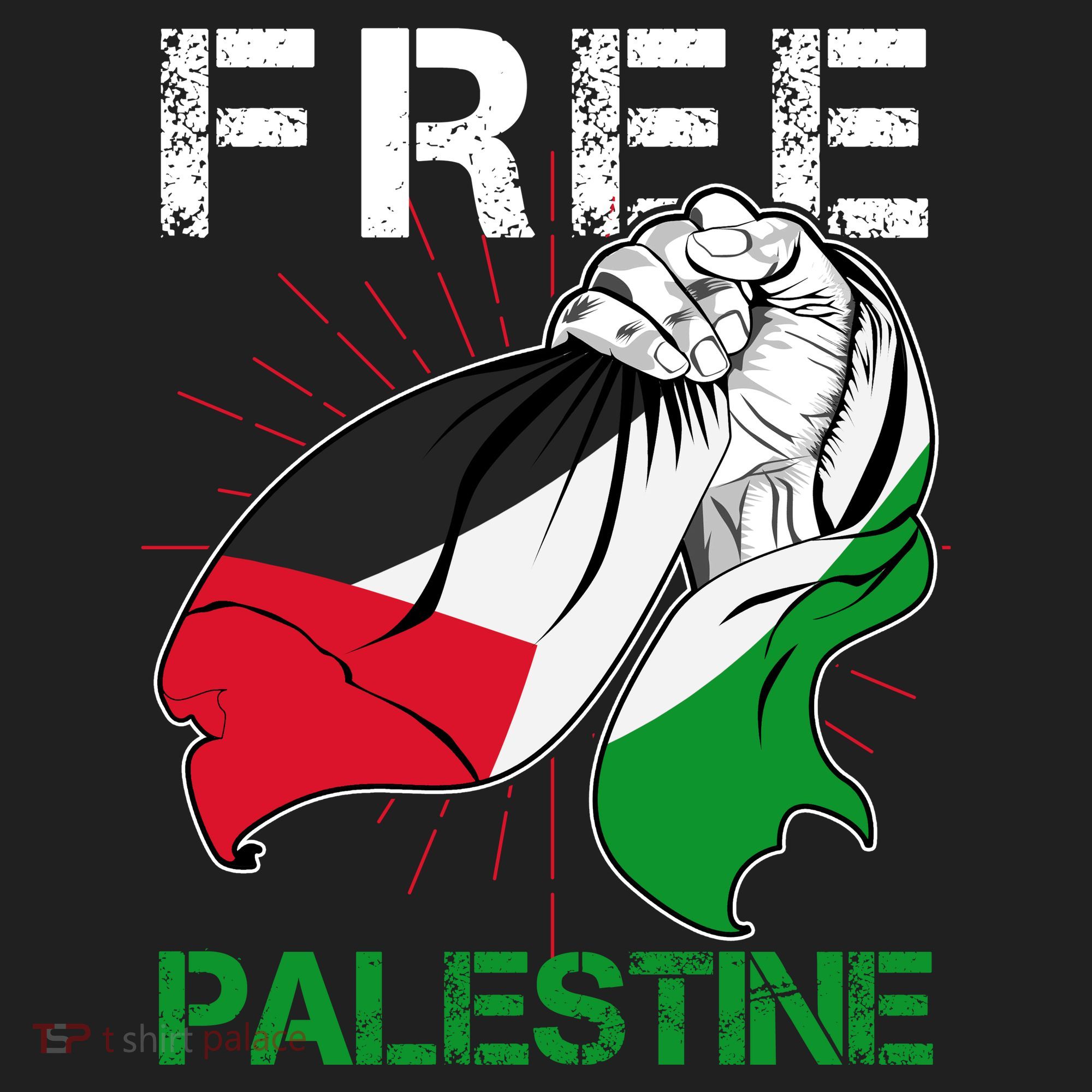 Free Palestine End War Support Palestine Women's Sweatshirt