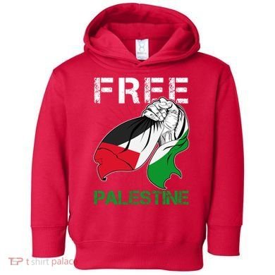 Free Palestine End War Support Palestine Toddler Hoodie