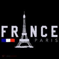 France Paris French Flag Eiffel Tower Souvenir Gift Ornament thumb 1