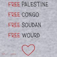 Free Palestine Free Congo Free Soudan Free World Women's Sweatshirt thumb 2