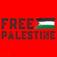 Free Palestine Flag Arabic Gaza Santa Hat thumb 1