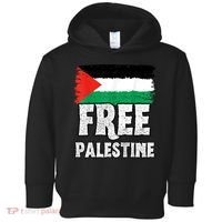Free Palestine Flag Toddler Hoodie thumb 0