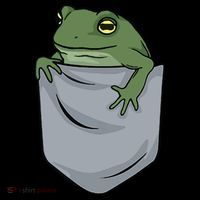 Frog Pocket For A Frog Fan Funny Ornament thumb 1