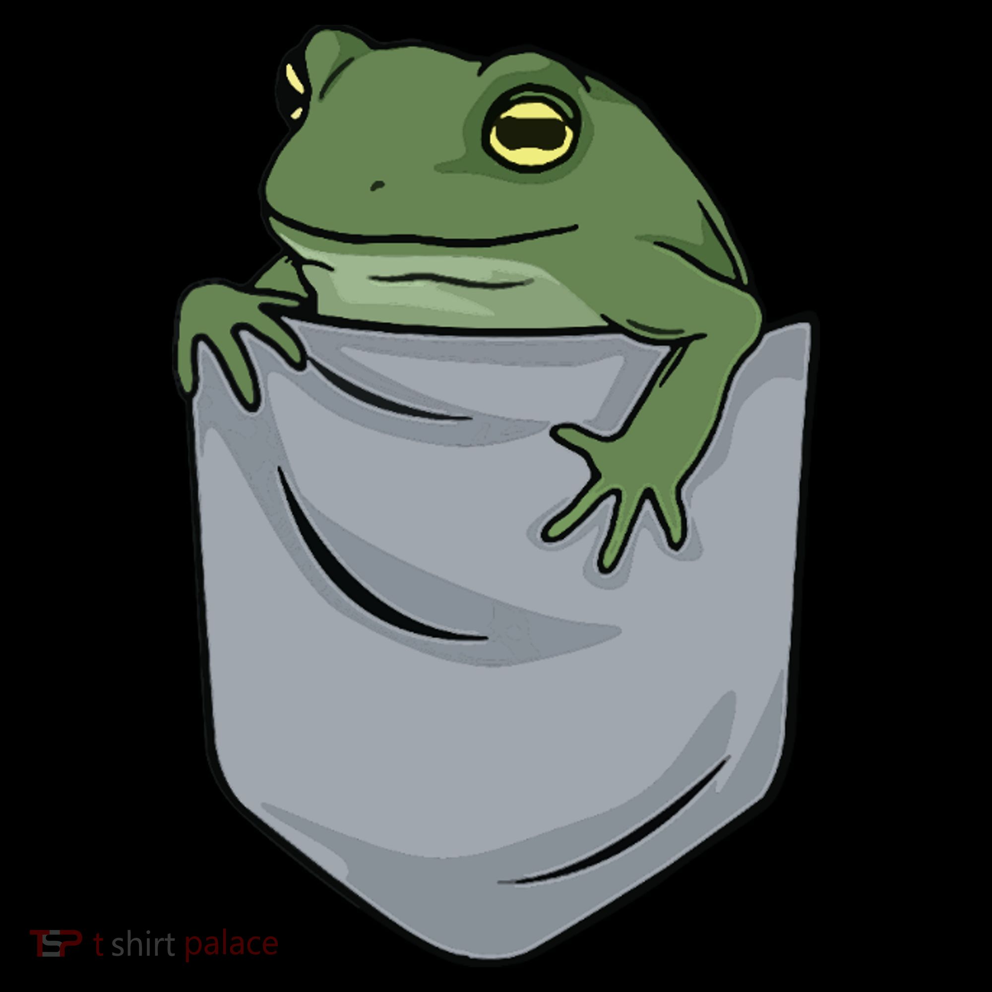 Frog Pocket For A Frog Fan Funny Ornament