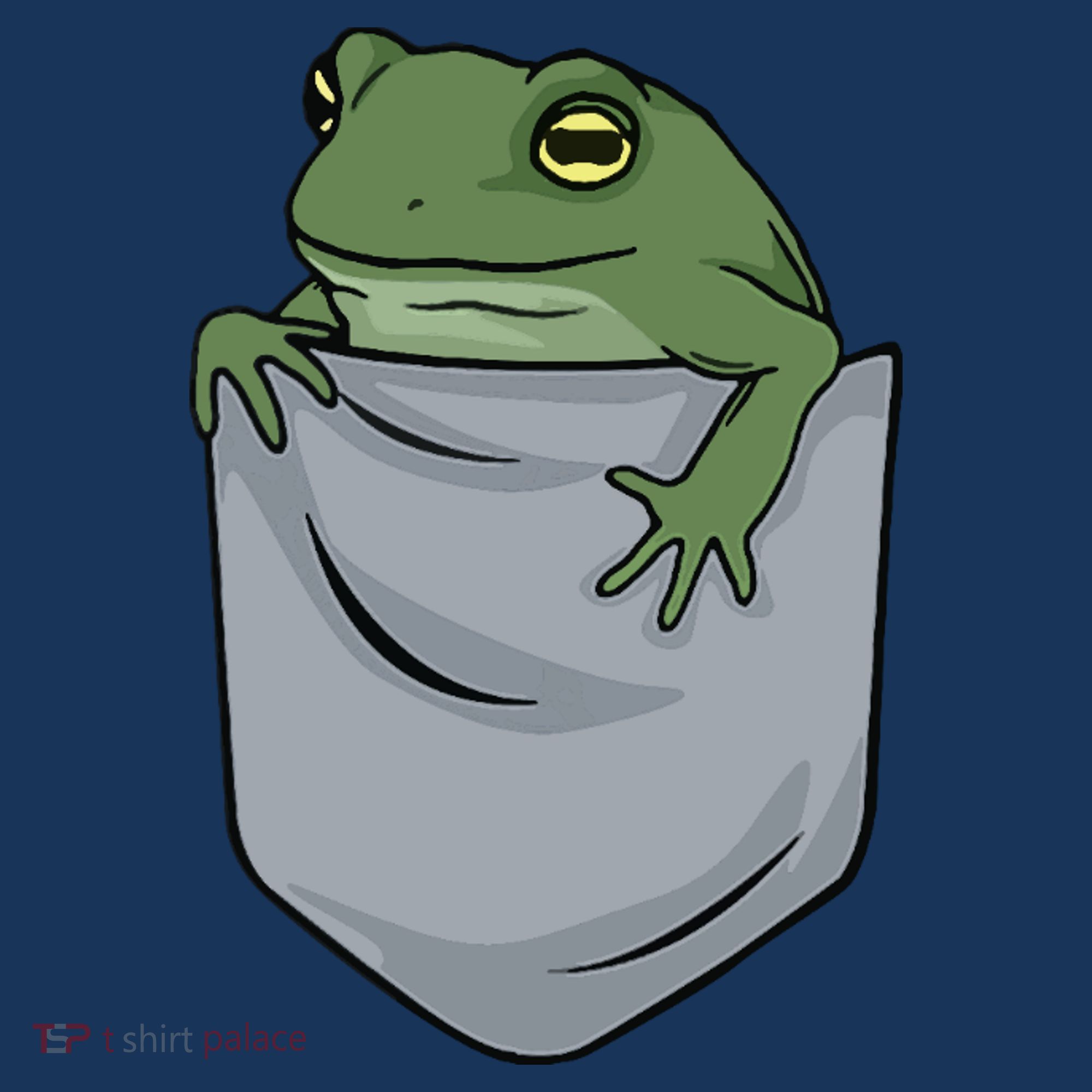 Frog Pocket For A Frog Fan Funny Beanie