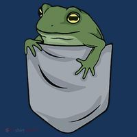 Frog Pocket For A Frog Fan Funny Toddler Hoodie thumb 2