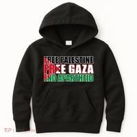Free Palestine Free Gaza End Apartheid Palestinian Flag Kids Hoodie thumb 0