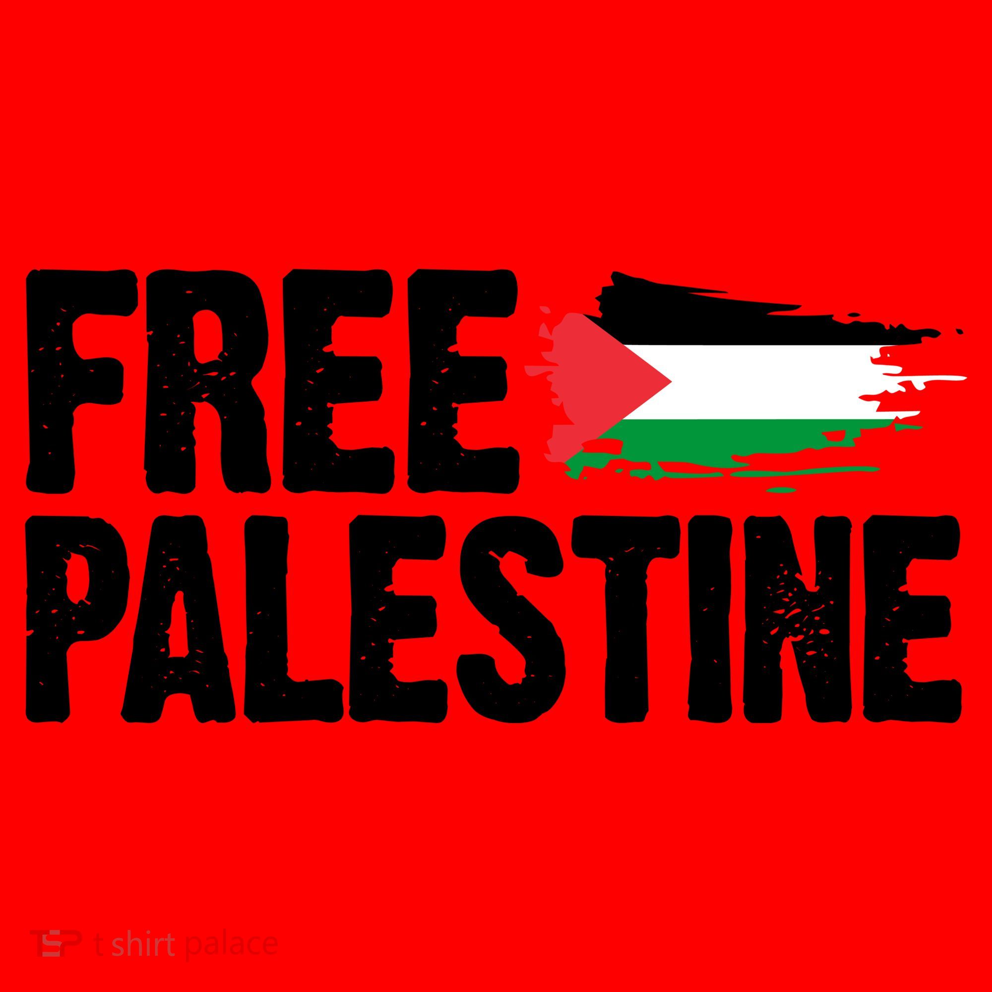Free Palestine Flag Santa Hat
