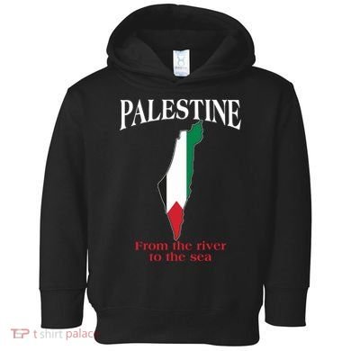 Free Palestine From The River To The Sea Toddler Hoodie