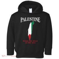 Free Palestine From The River To The Sea Toddler Hoodie thumb 0