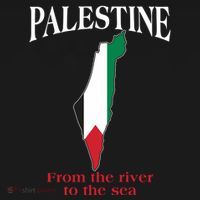 Free Palestine From The River To The Sea Toddler Hoodie thumb 2