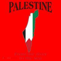 Free Palestine From The River To The Sea Santa Hat thumb 1