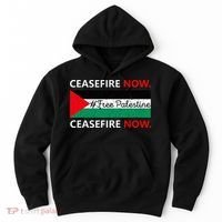Free Palestine Gaza Jews Say Cease Fire Now Not In Our Name Hoodie thumb 0