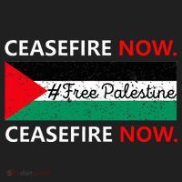 Free Palestine Gaza Jews Say Cease Fire Now Not In Our Name Hat thumb 2