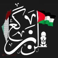 Free Palestine Gaza Palestinian Toddler T-Shirt thumb 4