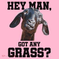 Funny Pun Goat Stuff And Farm Accesories Goat Coaster thumb 2