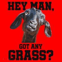 Funny Pun Goat Stuff And Farm Accesories Goat Santa Hat thumb 1