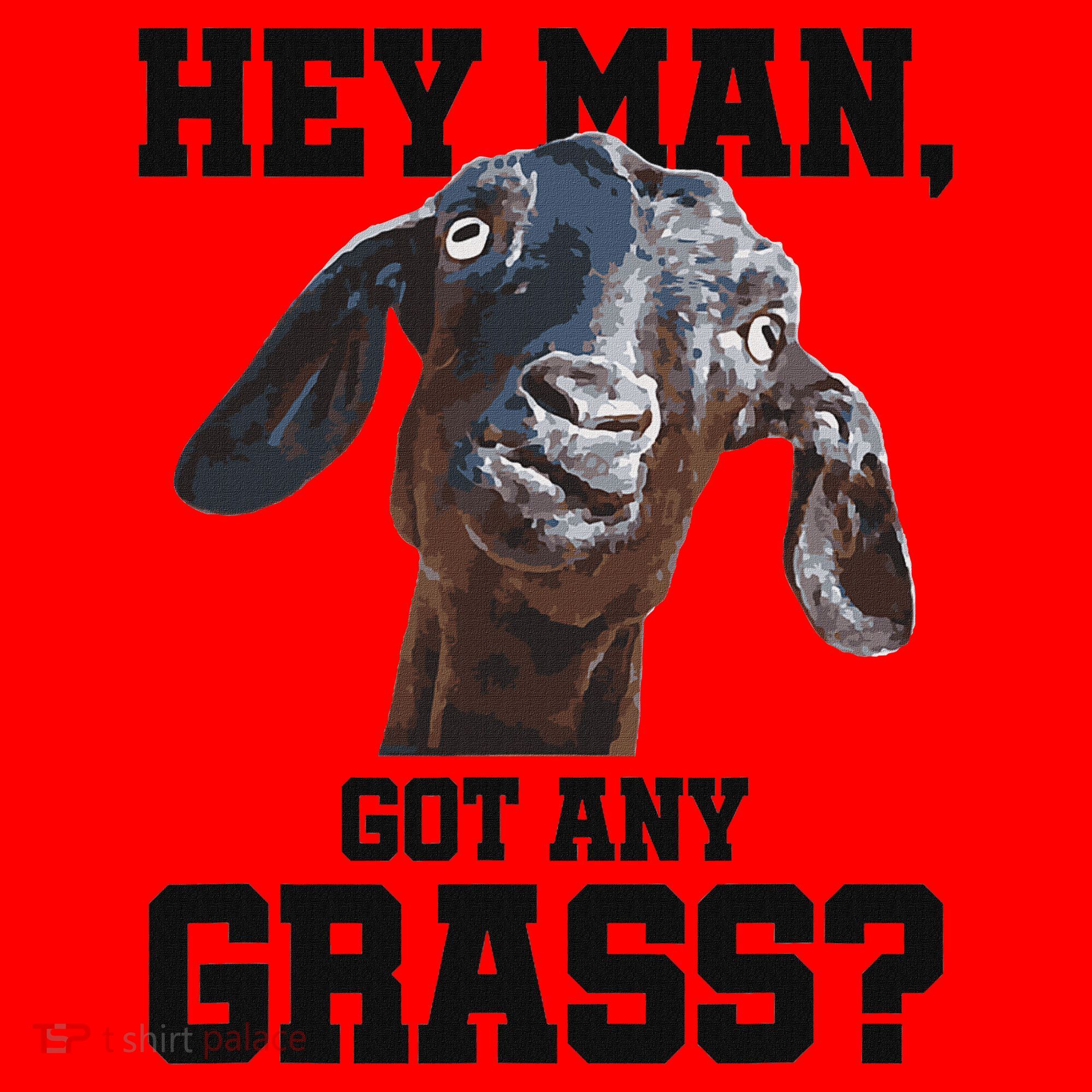 Funny Pun Goat Stuff And Farm Accesories Goat Santa Hat