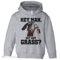 Funny Pun Goat Stuff And Farm Accesories Goat Toddler Hoodie thumb 0